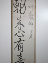 보존처리 후