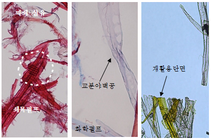 파쇄섬유의 쇄목펄프, 교분야벽공의 화학펄프, 재활용단면의 사진
