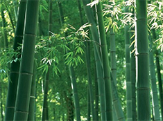 이런 책 저런 얘기