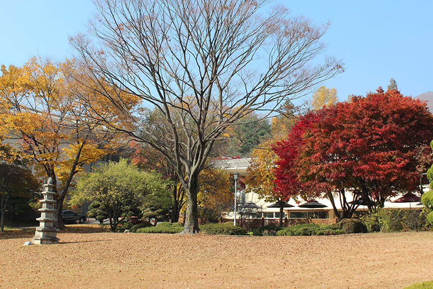 여름 전경