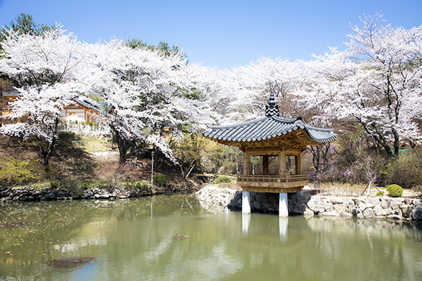 학의정 전경