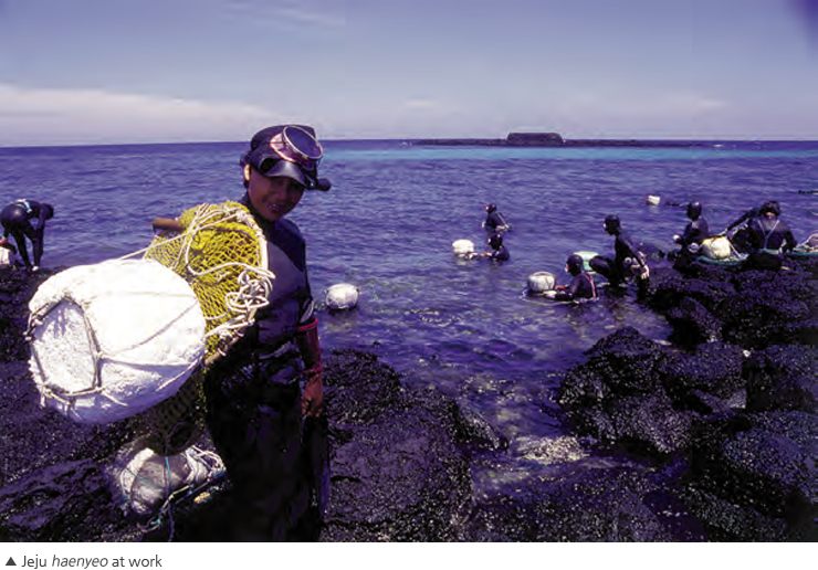 Photo - Jeju haenyeo at work
