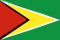 Guyana flag