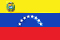Venezuela flag