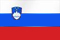 Slovenia flag