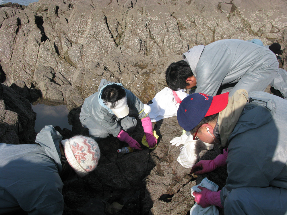 2008년 충남 태안 봉사 활동