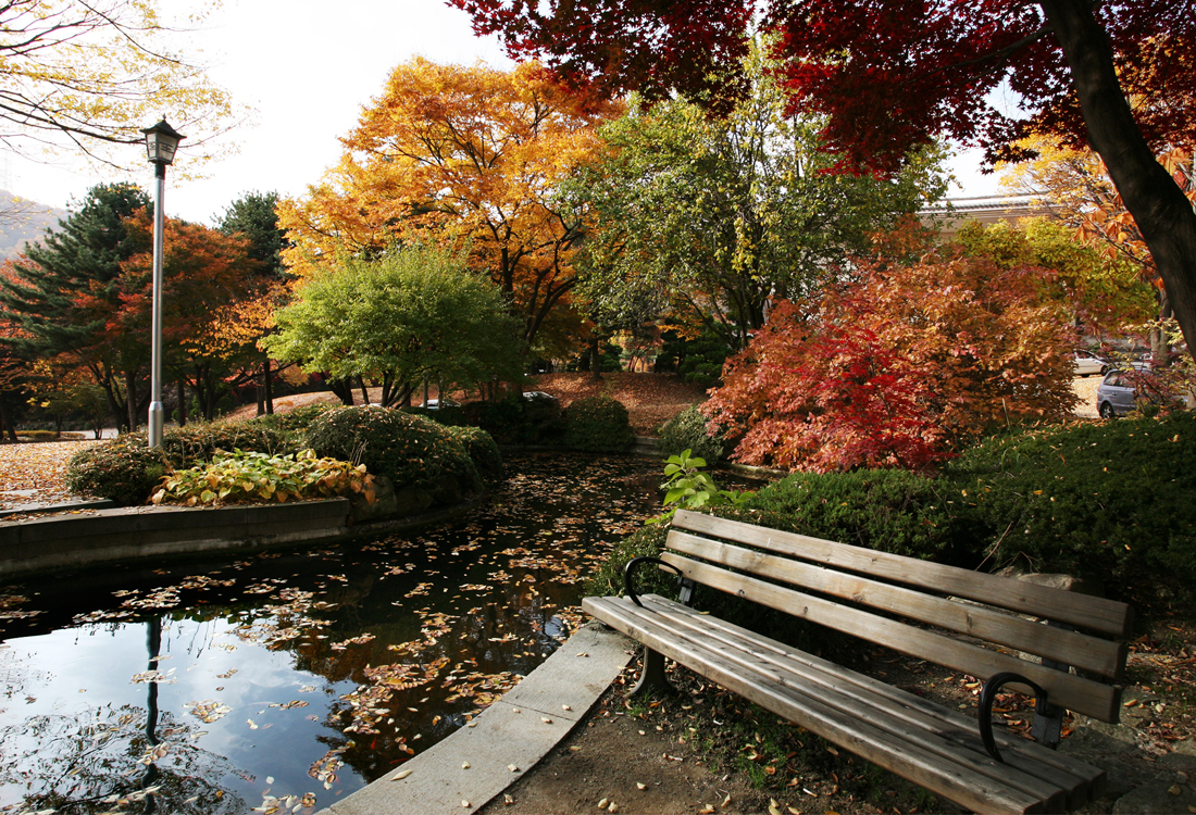 까페테리아 앞 연못