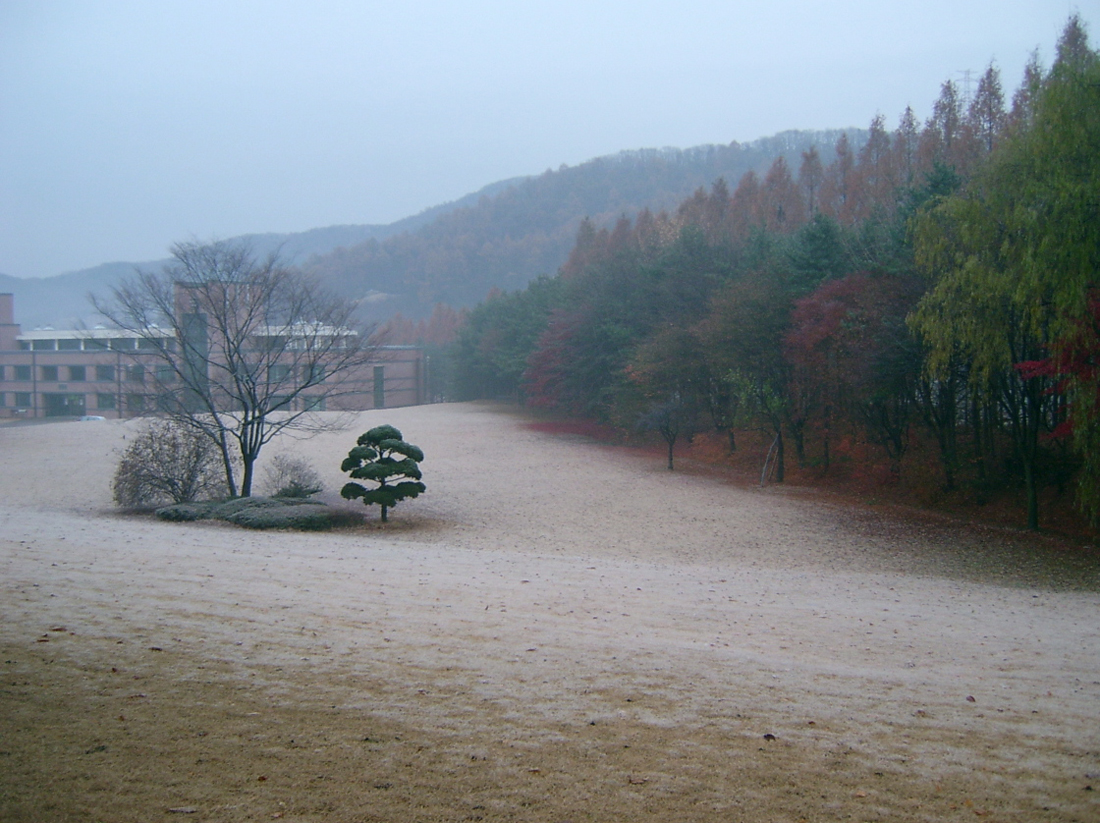 한국학대학원 앞 잔디원