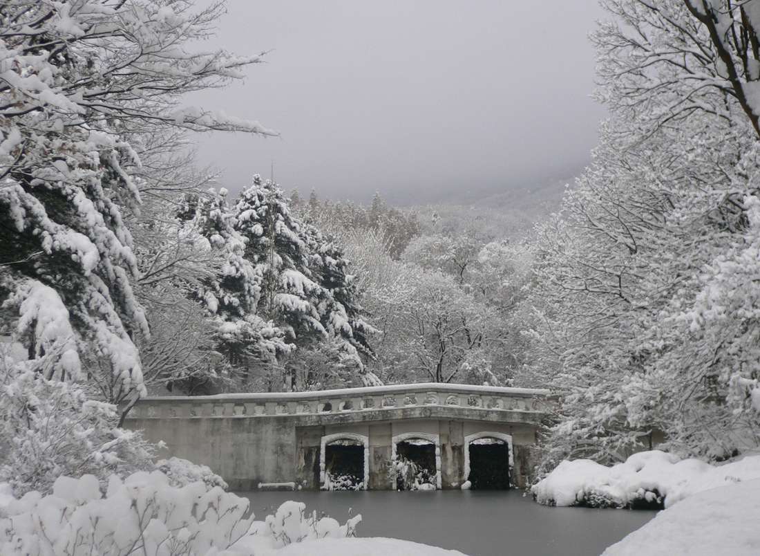 동편 연못 겨울