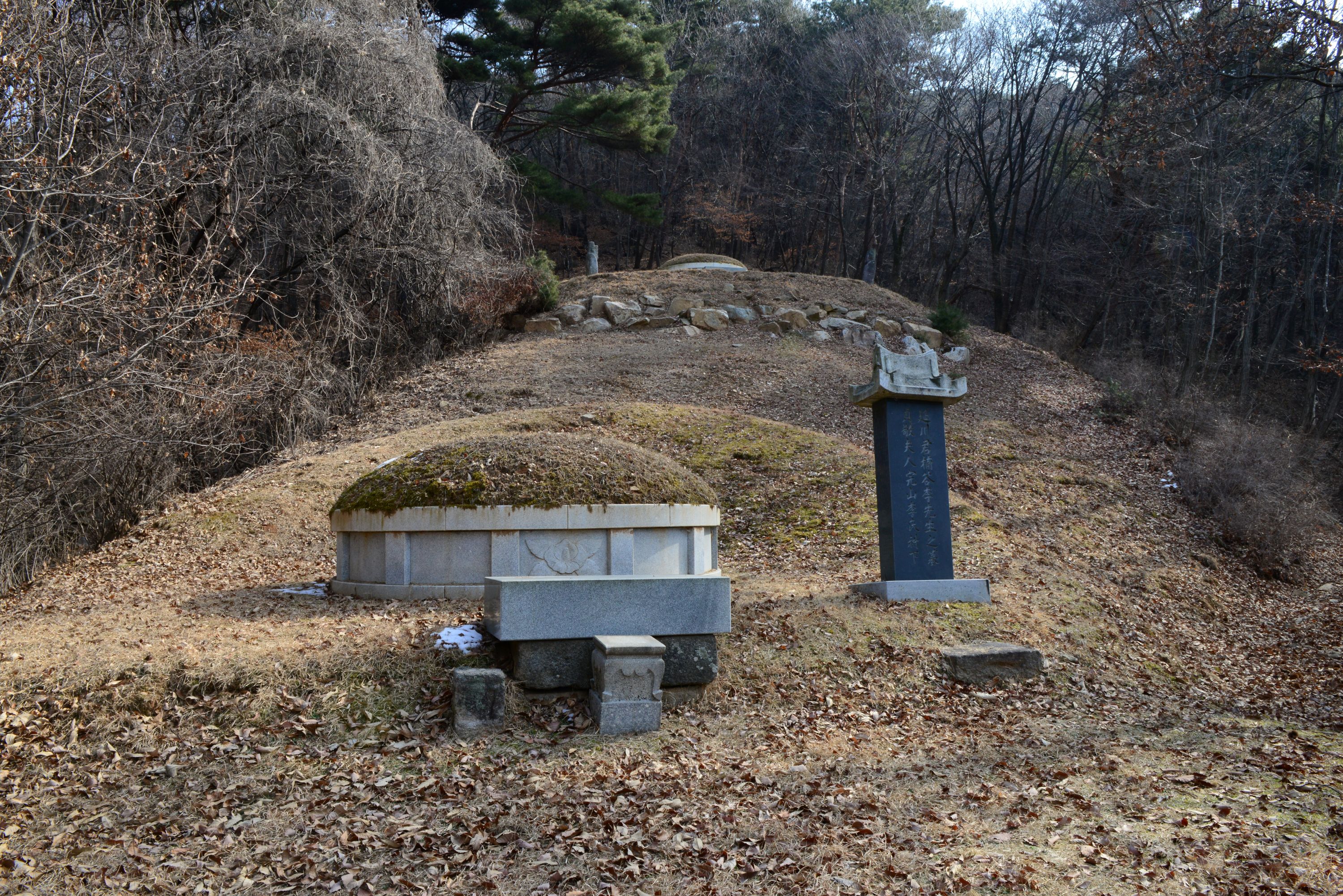 이보정 묘