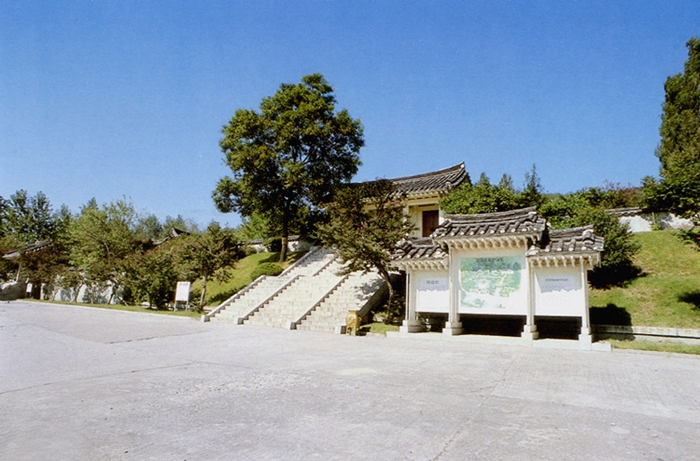 사진